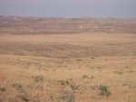 DSCF0329.jpg