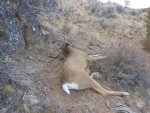 Idaho hunt 12 017.jpg