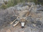 Idaho hunt 12 023.jpg