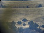 Idaho hunt 12 004.jpg