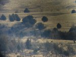 Idaho hunt 12 014.jpg