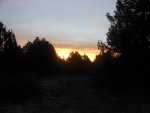 Idaho hunt 12 048.jpg