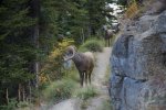 _DSC5572.jpg