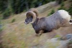 _DSC5581.jpg