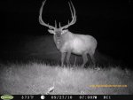 2010 The Big Dog Arizona.jpg