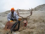 2012 West River Deer 020.jpg