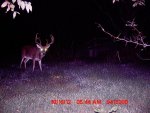 MDGC0261.jpg