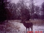 MDGC0033.jpg