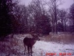 MDGC0037.jpg