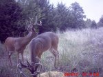 MDGC0084.jpg