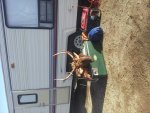 20121110_150654.jpg