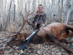 Elk Closeup527.jpg