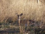 20111127_152.jpg