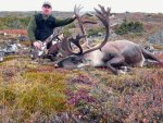 caribou 2010.jpg