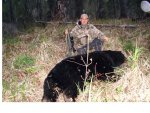 2008 black bear.jpg