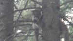 2012-12-079511-30-3395642.jpg