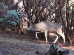 IMG_1510.jpg