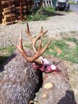 hunt1.jpg