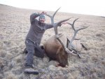 2012 elk.jpg
