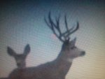 IMG_20121015_112255.jpg