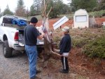 2012 Deer 4.jpg