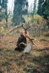 2006 moose 3.jpg