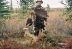 2006 moose.jpg