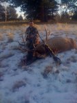 i phone pics 527.jpg