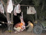 IMG_1574.jpg