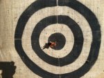 DNA at 80 yards.jpg