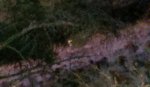 2012-01-03_06-56-23_824.jpg