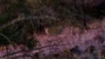 2012-01-03_06-57-02_895.jpg