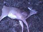 Dads 2012 doe.jpg