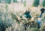 2006 moose 1.jpg