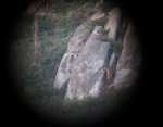IMG_0629t.jpg