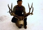 deer  017EF.jpg
