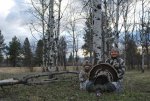 DSC_0073.jpg