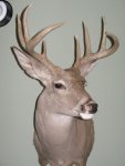 test picture.jpg