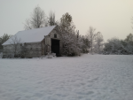 20191029_072636.png