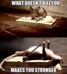 motivation.jpg