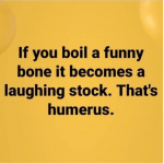 29684