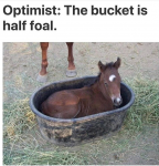 29790