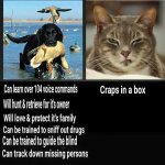 7FFCF4B5-94D1-4074-8E4D-8924A20C2076.jpeg