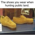 public land shoes.jpg
