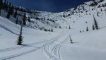 20200409_113633.jpg