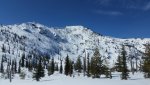 20200409_112104.jpg