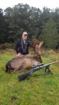 NZ Fallow Deer.jpg
