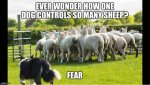 af0c8bb78376b1fcb2d478d7951a641b[1].jpg