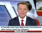 alligator.jpg
