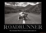 roadrunner.jpg